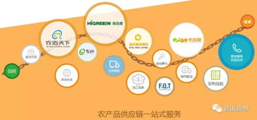 生鮮B2B旺火，為何“燒”不掉農貿市場？——網絡信息技術服務下的共生邏輯